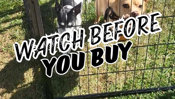 dogページ Amazon.com : Yaheetech Dog Playpen Outdoor, 32 inch 12